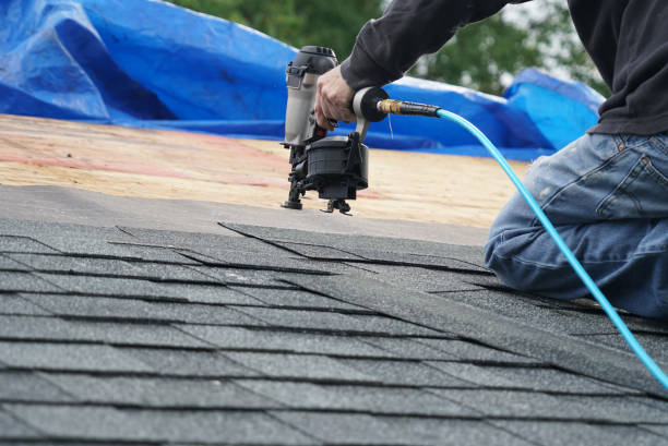 Best Roof Leak Repair  in Nowthen, MN